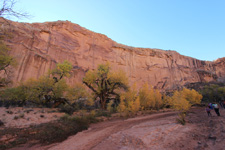 USA-Utah-Canyons & Wild Horses Tour